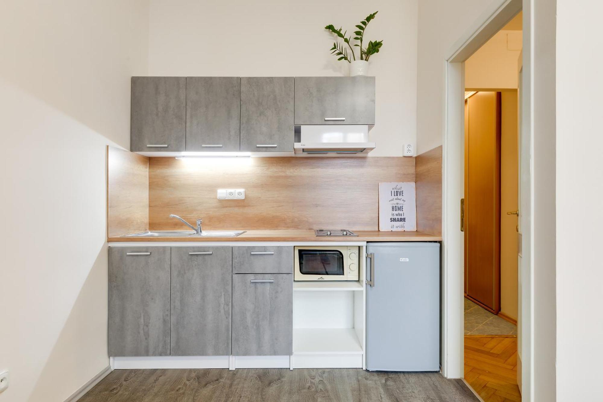 Vita Nejedleho Apartments 프라하 외부 사진